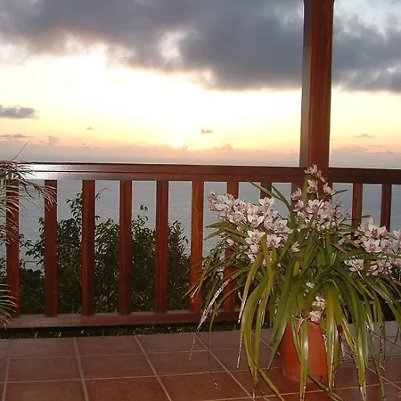 Casa Vinas