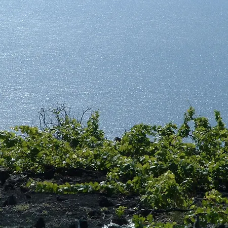 Casa di campagna Casa Vinas *